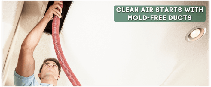 Air Duct Mold Removal in The Woodlands