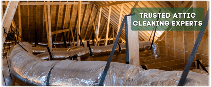 Attic Cleaning The Woodlands