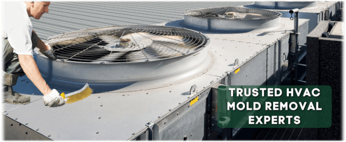 HVAC Mold Removal The Woodlands